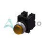 M22XP-ASF20-Y