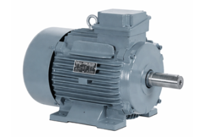 Squirrel Cage Induction Motor: Fitsipika miasa, karazana, tombony ary fampiharana